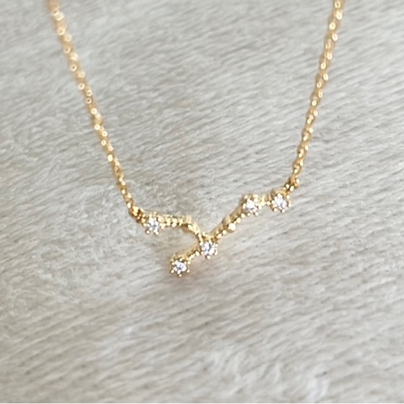 Wanderlust & Co Zodiac Necklace - Picture 6 of 13